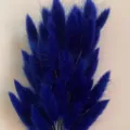 Blue bunny tail grass dried flowers bouquet for home decor aesthetic room interior. - Royal Blue 60 Pieces