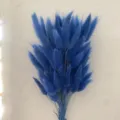 Blue dried bunny tails grass bunch for modern home decoration and floral arrangement. - Light Royal Blue