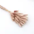 Pink Bunny Tail Grass Dried Flowers Bouquet Fluffy Floral Home Decor Variant New - Coffee Brown 60 Pieces
