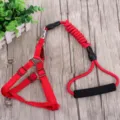 Rotes Nylon Haustier Leine und Geschirr Set mit elastischem Bungee und Schaumstoffgriff. - S - empfohlen für 5-12 Jin / Rot