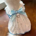 Cute pet dress with blue heart print and bow, sweet cake skirt style for cats and dogs. - XS / Blue