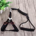 Schwarzes Hundegeschirr und Bungee-Leine Set, verstellbarer Nylon-Haustiergurt für Hunde. - M - empfohlen für 12-30 Jin / Schwarz