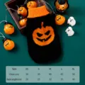 Halloween pet knitted sweater with cute pumpkin design, warm dog and cat apparel for winter. - XS / Pumpkin