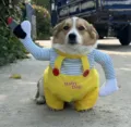 Funny halloween dog costume pet clothes small dog cat transformation outfit halloween - S / Yellow Deadly Doll