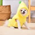 Cute banana dog costume winter warm fleece pet apparel funny puppy clothes with size chart - S / Banana Upright Costume