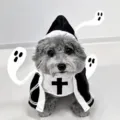 Halloween pet nun costume with cross cape, funny cosplay outfit for dogs and cats. - S