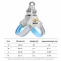 Blue Y-type dog harness reflective anti-pull pet chest strap with size chart S to XL sizes - S / Blue