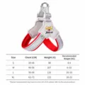 Red reflective Y-shaped pet dog harness and leash set with comfortable chest pad in multiple sizes. - S / Red
