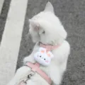 Cute pink cat harness leash with plush rabbit decoration, outdoor pet walking supply main image. - Pink Rabbit