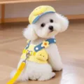 Lindo juego de arnés y correa para perro gato con sombrero cuadros amarillos diseño pollito - XS / Set de tres piezas / Pollito a cuadros amarillos