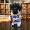 Funny guitar playing dog costume summer pet cosplay clothes for cats and small dogs. - M / Guitar Transformation Costume (Without Wig)