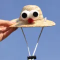 Cute pet straw hat with googly eyes and adjustable chin strap for cats and small dogs. - Small Size Diameter Approx. 12cm / Red Bird Eye Cap