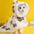Pet warm winter cloak cute cat dog fleece cape thick hooded sleeping blanket apparel - S (Recommended for Under 2.5 kg) / Bear Cape for Pets