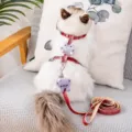 Red plaid cat harness and leash set with cute bunny plush, anti-escape design for kittens. - S / Red