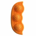 TPR pet chew toy, orange peapod shaped dog molar teething stick with spike texture for pets. - Orange