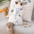 Adjustable cat harness and leash set with cute blue charms, perfect for safe kitten outdoor walking. - S / Blue