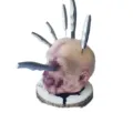 Halloween horreur tête humaine bloc à couteaux sanglant cerveau support de coutellerie effrayant - Planche à couverts tête de zombie