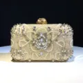 Elegant beaded evening clutch bag with crystal embellishments for bridal and party wear. - Champagne