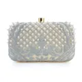 Elegant beige evening clutch bag with silver embroidery and pearls for party events. - Apricot + Silver