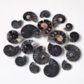 Natürliches Ammonit Fossil Mineralexemplar karbonisierte Spiralschale Scheibe DIY Anhänger - Karbonisierte Scheibe / 10-20mm (Einzelstück)