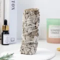 Détail d'un bâton de sauge blanche naturelle attaché à la main pour la purification - Bâton de Sauge Blanche / 4 Pouces (Environ 10-12cm)