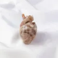 Natural crystal anatomical heart carving sculpture, gemstone organ model for home decor - Moonstone Heart Carving / 5.5X3.5CM