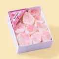 Natural Rose Quartz Mineral Specimen Gift Box Raw Crystal Stones for Science Education Display - Rose Quartz Raw Stone Style