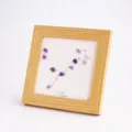 Natürlicher Amethyst Kristall Sternbild Bilderrahmen Fische Desktop Ornament Dekoration - Fische - Amethyst