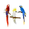 3D parrot paper honeycomb balls hanging set, Hawaiian tropical party tropical bird decor for kids - Parrot Honeycomb 3-Piece Set