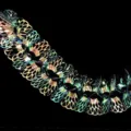 Iridescent holographic garland hanging decoration for party, wedding, Christmas, and holiday events. - Butterfly Garlands 3.5m