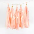 5pcs holographic pink paper tassel garland for wedding party decoration rainbow hanging decor - 5 Pieces Pack / Peach