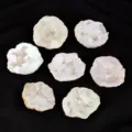 Natural crystal agate geode slices set, electroplated quartz cluster raw stones for home decor. - 3-5cm/Piece / Original Color