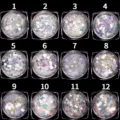 Nail Art Glitzer Pailletten Set, holografische Herz Stern Flocken für DIY Maniküre Design. - 1g 12-Farben-Set