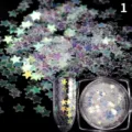 Holografische Stern Nagelglitter Pailletten Detailansicht mit schimmernden Sternchen im Dosen. - 1g Nr. 1