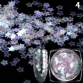 Nahaufnahme von holografischen Stern Nagelkunst Pailletten und Glitzer Flocken für Maniküre. - 1-g-Packung, Nr. 4