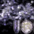 Holografische runde Nagelglitter Pailletten für Nageldesign, glänzende Deko im Detail. - 1g Packung Nr. 8
