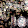Holografische Stern-Nagelglitter Flakes Detailaufnahme für DIY Nail Art und Gelmaniküre. - 1g Packung Nr. 10