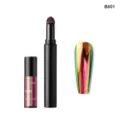 Detail view of the black nail art air cushion pen and chameleon chrome magic mirror powder tip. - B801 + Chameleon Cushion Pen