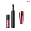 Chameleon Nail Powder Cushion Pen B841 Magic Mirror Chrome Pigment Nail Art Manicure Tool - B841 + Chameleon Cushion Pen