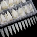 Clear long stiletto false nail tips set in storage box, ideal for professional nail art. - 08 Natural Color