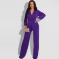 Purple long sleeve V-neck tie waist jumpsuit detail view, elegant women clothing style. - S / Jumpsuits / Purple