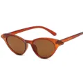 Schicke braune transparente Katzenaugen-Sonnenbrille für Damen, modischer Vintage-Stil. - Transparentes Tee-Braun