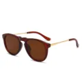 Classic Retro Round Amber Frame Sunglasses with Elegant Gold Metal Temples for Daily Wear - Dark Tea Frame Tea Lens