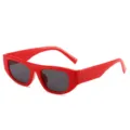 Rote Fassung Retro kleine Sonnenbrille mit dicken Bügeln Y2K Mode für Damen und Herren - Roter Rahmen Graue Gläser