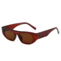 Retro rotbraune Sonnenbrille mit dickem Gestell für Damen und Herren, stylische Variante. - Dunkelbrauner Rahmen Braune Gläser
