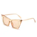 Bernsteinfarbene Cat-Eye-Sonnenbrille für Damen und Herren, stilvoller transparenter Rahmen. - Hellbrauner Rahmen Braune Gläser