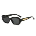 Schicke unregelmässige kleine Sonnenbrille mit goldenem Bügeldetail für Damen Streetwear. - Schwarzer Rahmen Schwarz Graue Gläser