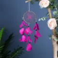 Acchiappasogni Nero Bianco A Strisce Stile INS Piume Rosa Decorazione per la Casa - MS9467 rosa rossa / Rosso rosa
