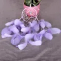 Acchiappasogni viola da appendere alla parete con piume e perline per la decorazione. - 7033D Viola