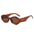 Modische unregelmäßige Sonnenbrille für Damen und Herren, schicke Schildpatt Brille. - Schildpatt